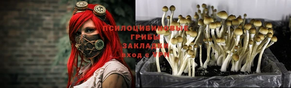 дживик Магадан