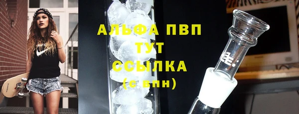 стафф Майский