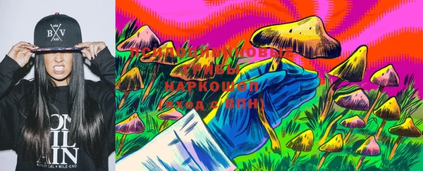 стафф Майский