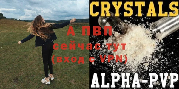 стафф Майский