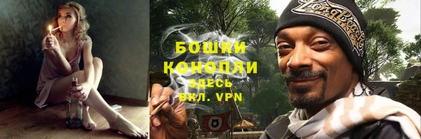 стафф Майский