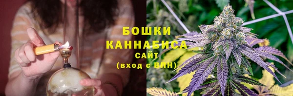 стафф Майский