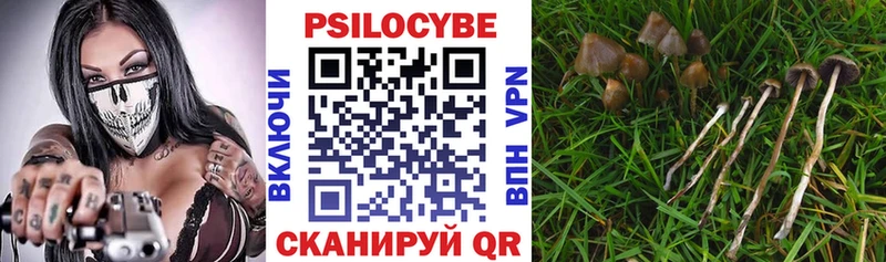 блэк спрут маркетплейс  Заозёрск  Галлюциногенные грибы мицелий 