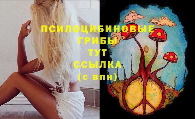 Галлюциногенные грибы Cubensis  Заозёрск 