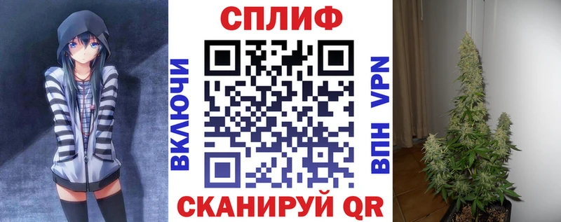 Конопля OG Kush  как найти закладки  Заозёрск 
